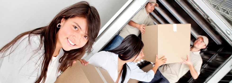 Professional Removalists Mulbring